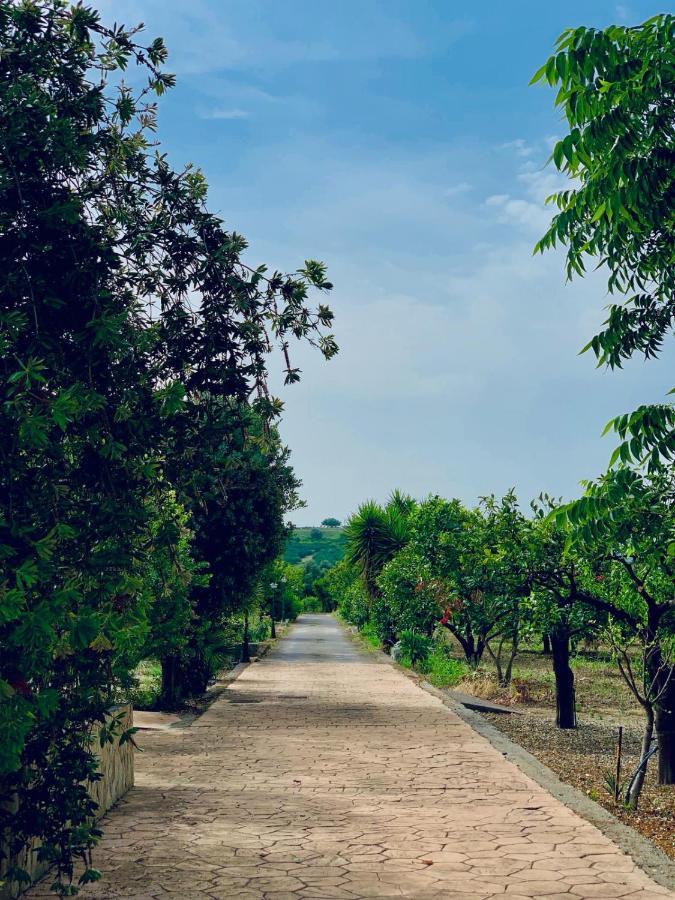 Il Giardino Delle Zagare Vila Calatabiano Exterior foto